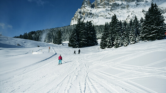 winter-in-swiss