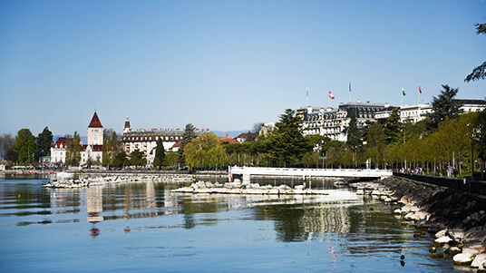 Lucerne